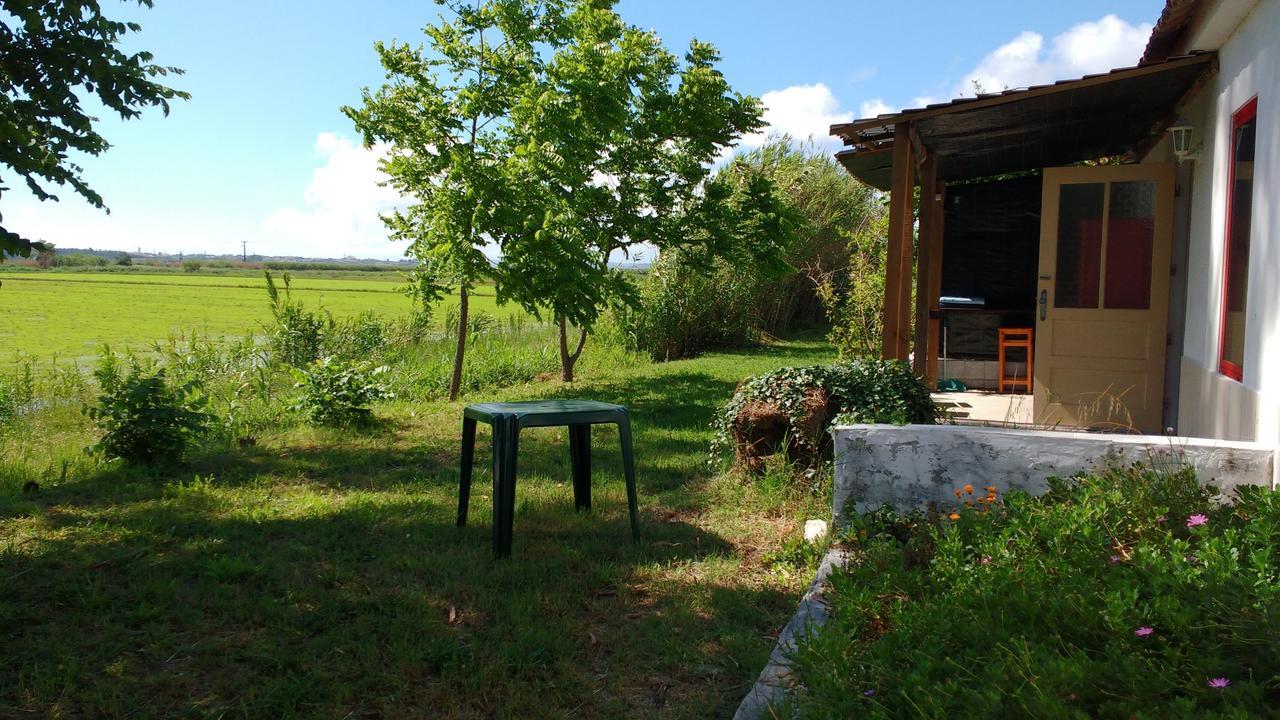Termas Da Azenha 호텔 Figueira da Azoia 외부 사진